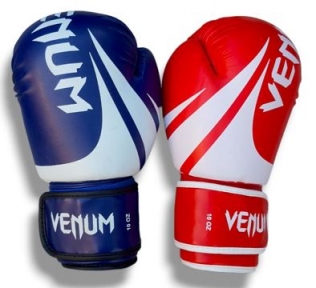 Боксерские перчатки Venum, DX