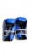 ADX SkyForce Blue  рукавички для TKD & PF  0