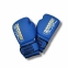 Рукавички боксерські ROOMAIF CHAMP Pro2.0 матові 7